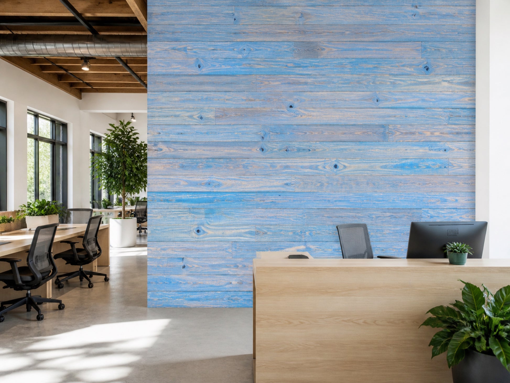 Blue reclaimed redwood wall planks installed in an office