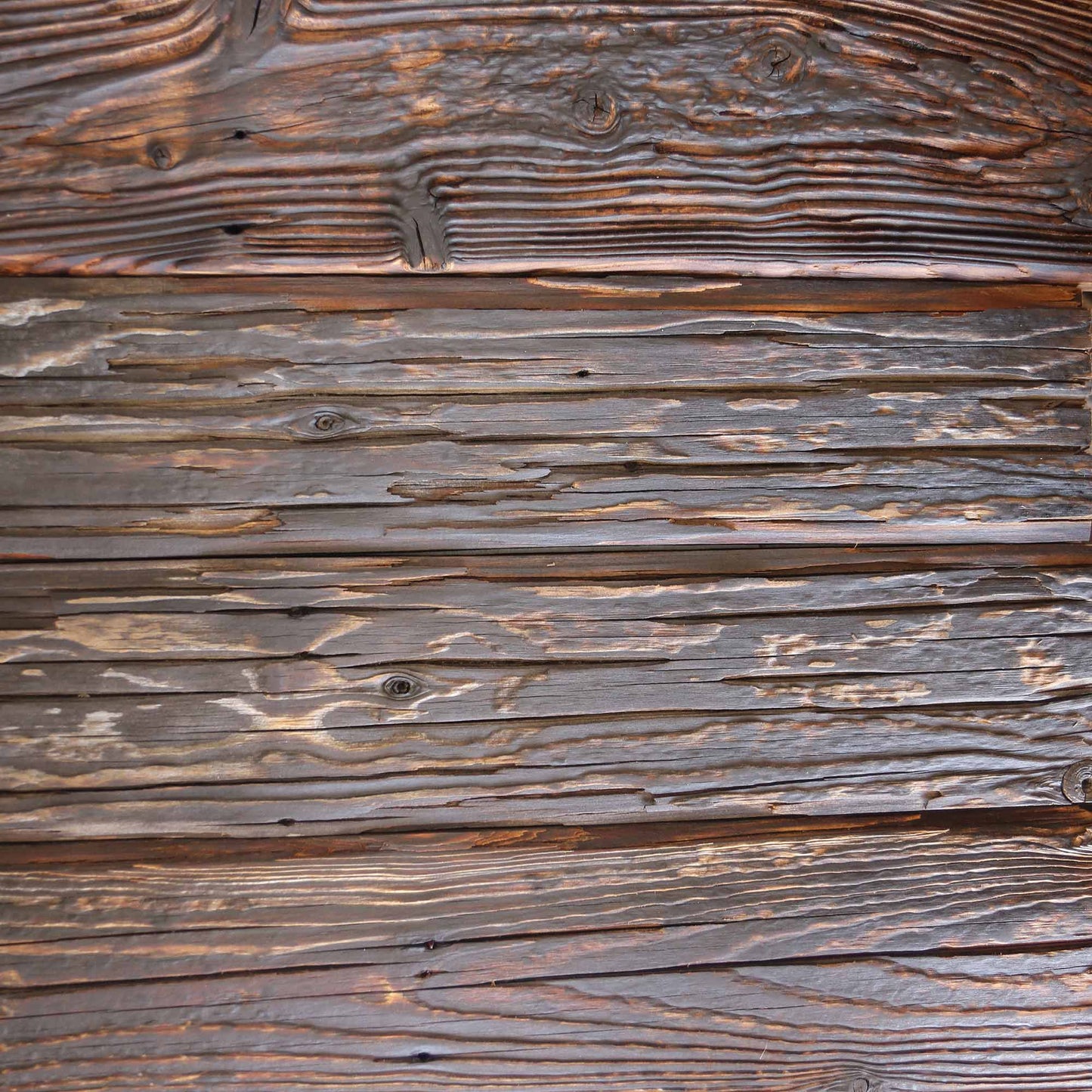 Mushroom wood reclaimed paneling with deep fungal grooves on an interior feature wall