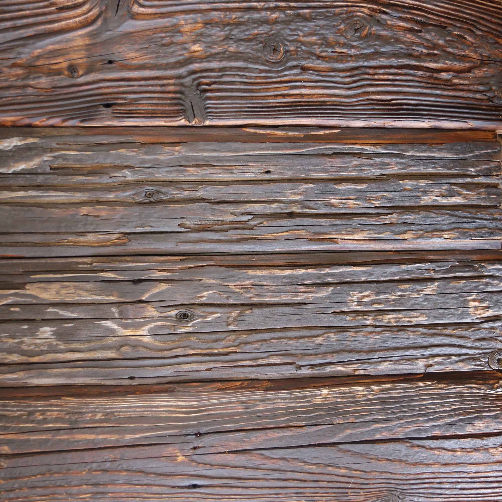 Mushroom wood reclaimed paneling with deep fungal grooves on an interior feature wall