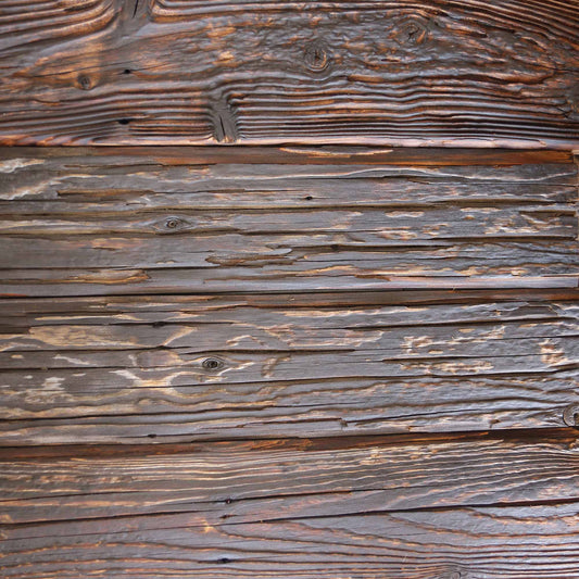 Mushroom wood reclaimed paneling with deep fungal grooves on an interior feature wall