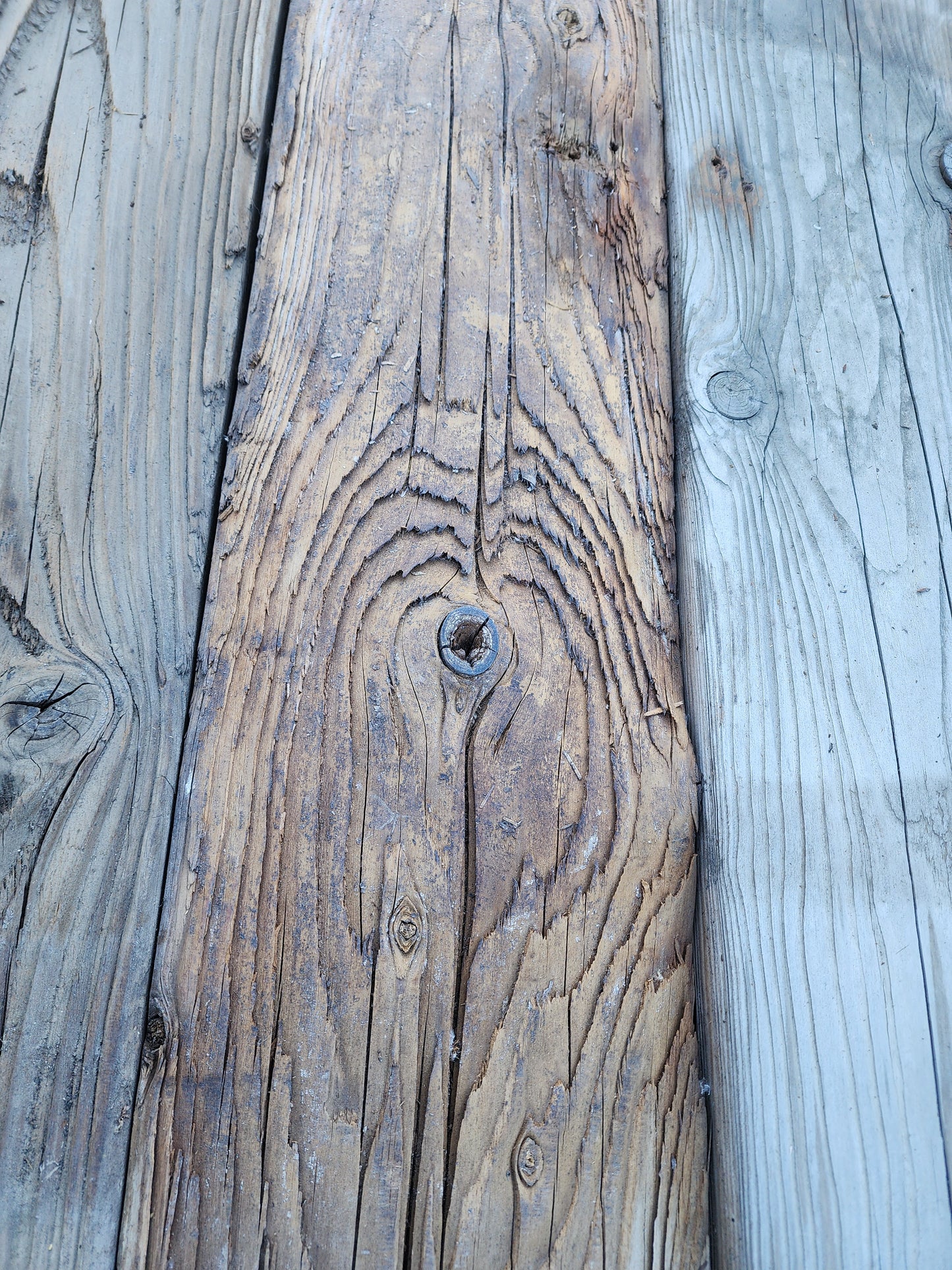 Reclaimed mushroom wood plank with deep fungal grooves and weathered gray patina