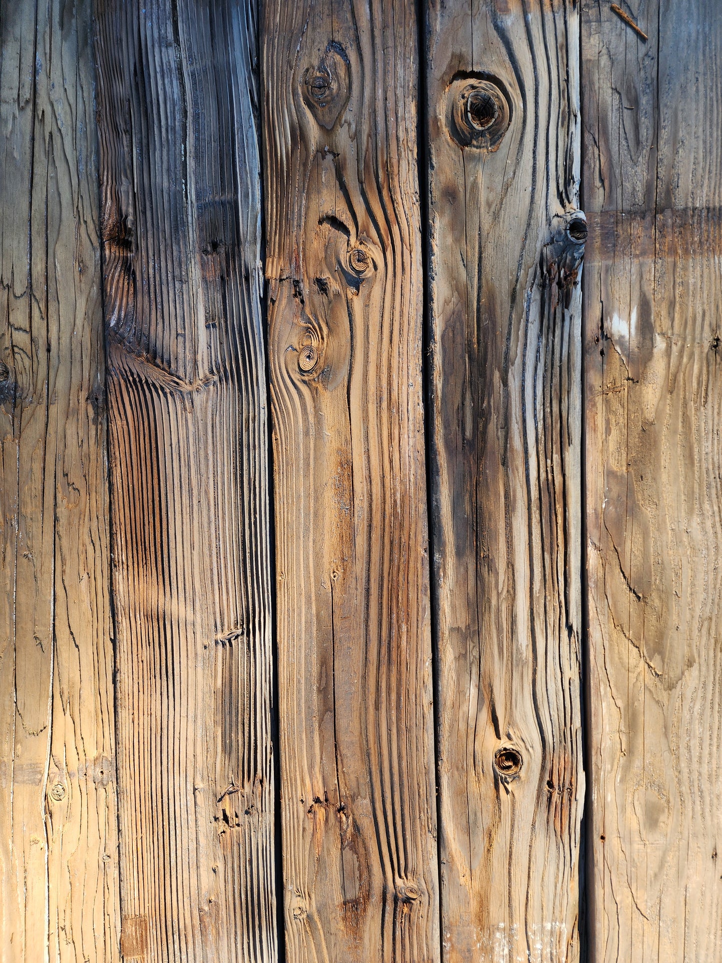 Mushroom wood plank detail with rustic edge, knots and original nail holes
